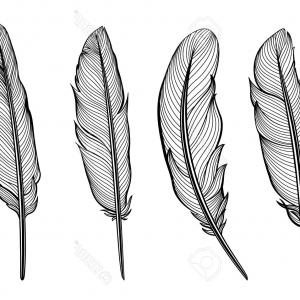 300x300 Feather Vector Png Images In Collection