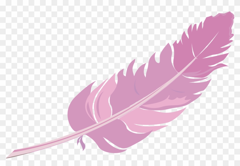 840x580 Feather Vector Png