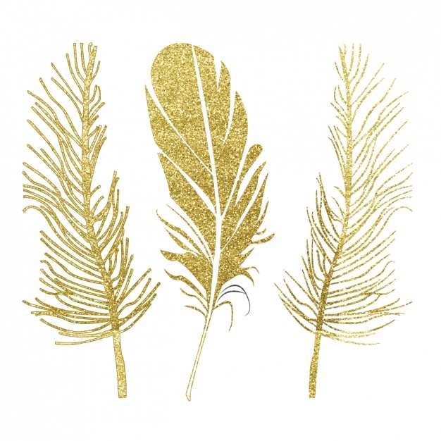 626x626 Feather Vectors, Photos And Free Download