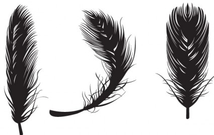 425x269 Feather Vectors Free Vectors Ui Download