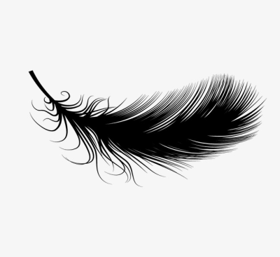 400x367 Feathers Png