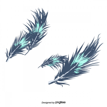 360x360 Peacock Feather Vector Png, Vector, And Clipart