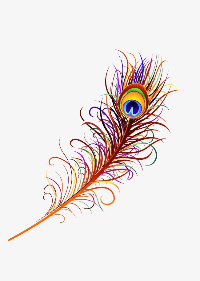650x915 Peacock Feather Vector Background Png Background Download