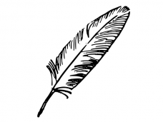 Feather Vector Png at Vectorified.com | Collection of Feather Vector ...