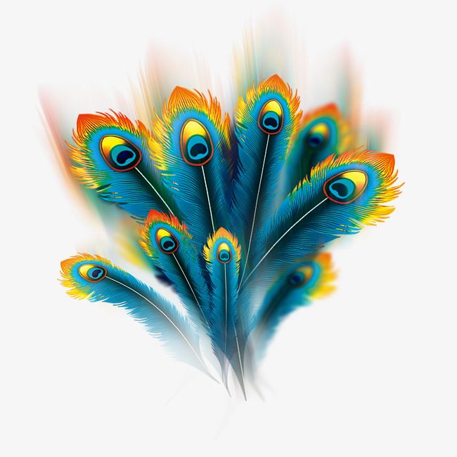 650x651 Wispy Peacock Feathers, Peacock, Peacock Feather, Feather Png