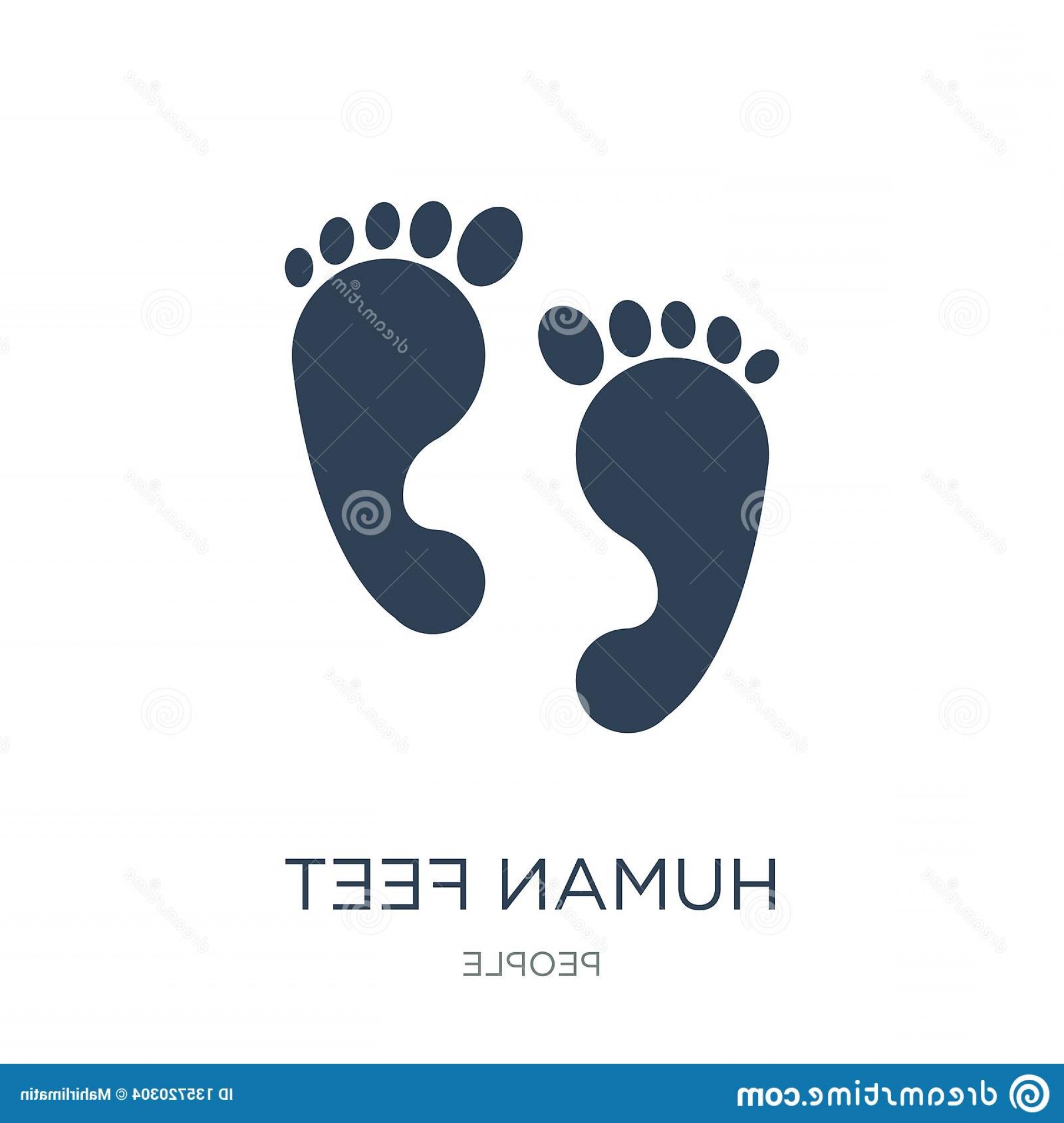 1920x2026 Feet Vector Hoodamathrun