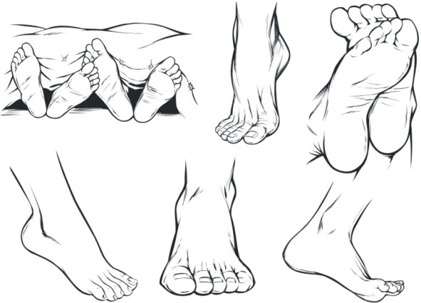 591x426 Vector Sketch Foot Free Vector In Coreldraw Cdr