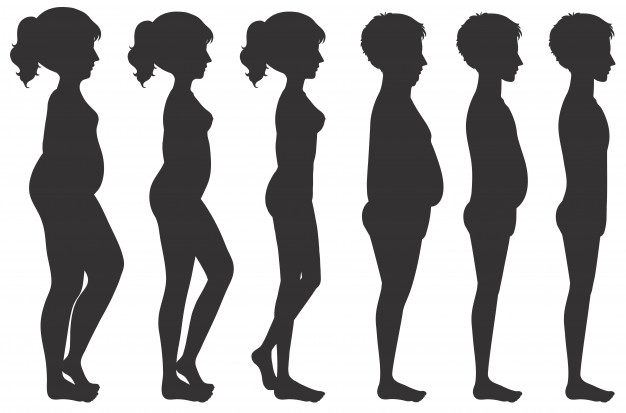 Male And Female Body Transformation Vector Free Download 626x413 Male And Female Body Transformation Vector Free Download