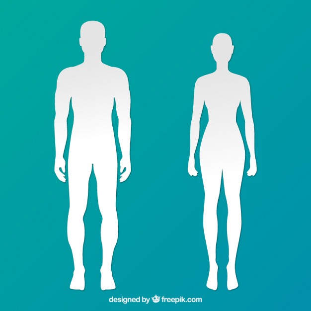 Body Vectors, Photos And Free Download 626x626 Body Vectors, Photos And Free Download