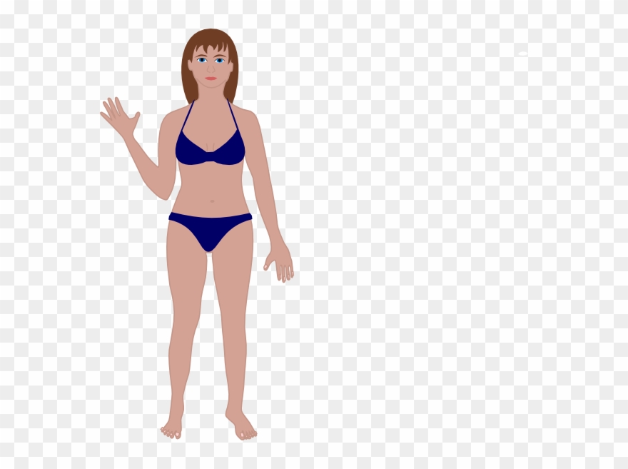 Download Female Body Vector at Vectorified.com | Collection of ...