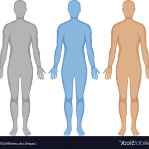 Outline Of Young Beautiful Women With Graceful Attractive Body 300x300 Outline Of Young Beautiful Women With Graceful Attractive Body