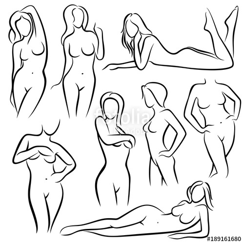 Outline Beautiful Woman Vector Silhouettes Line Female Body 500x500 Outline Beautiful Woman Vector Silhouettes Line Female Body
