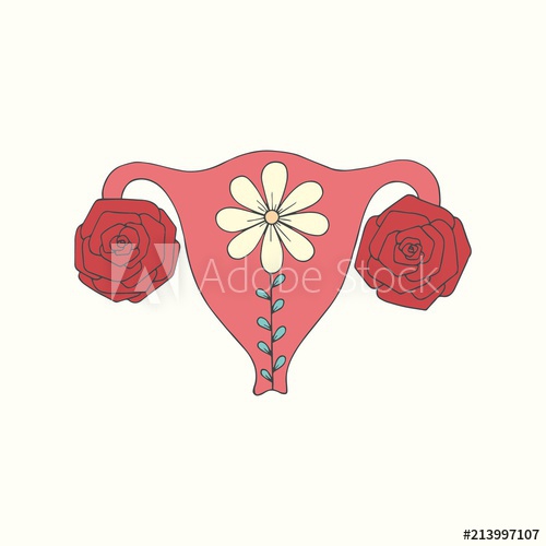 Uterus Female Body Vector Illustration 500x500 Uterus Female Body Vector Illustration
