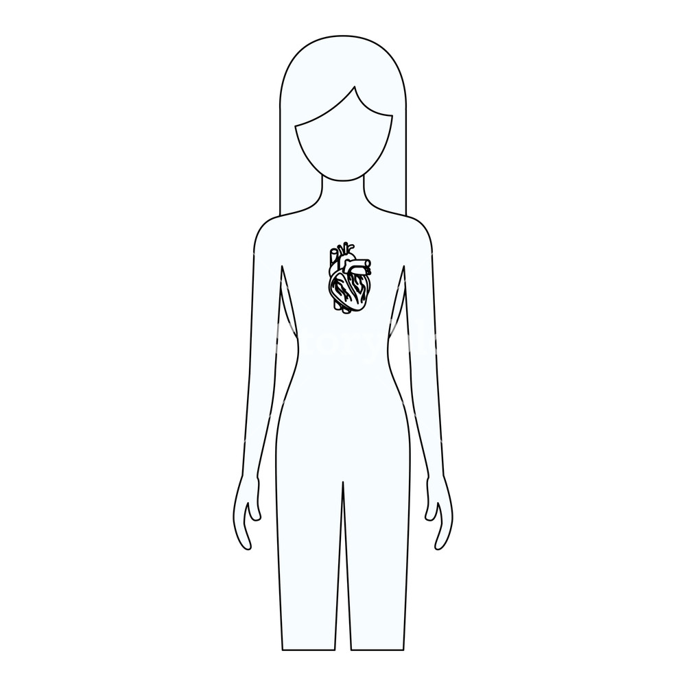Sketch Silhouette Of Female Person With Heart System Human Body 1000x1000 Sketch Silhouette Of Female Person With Heart System Human Body