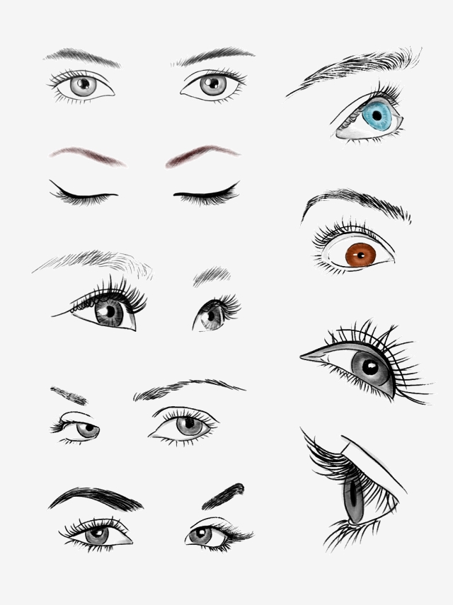 Female Eyes And Eyebrows Free Vector, Eye Vector, Vector Vector 640x855 Female Eyes And Eyebrows Free Vector, Eye Vector, Vector Vector