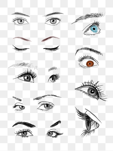 Female Eyes Png, Vector, And Clipart With Transparent 360x481 Female Eyes Png, Vector, And Clipart With Transparent