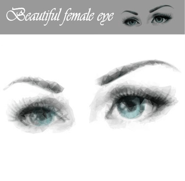 Female Eye Vector Free Vector Download 376x368 Female Eye Vector Free Vector Download
