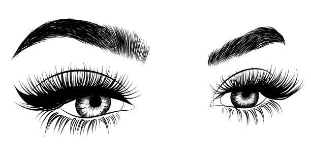 Female Eyes Vector at Vectorified.com | Collection of Female Eyes ...