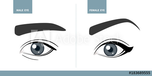 Male And Female Eyes Vector Illustration Template For Makeup 500x250 Male And Female Eyes Vector Illustration Template For Makeup