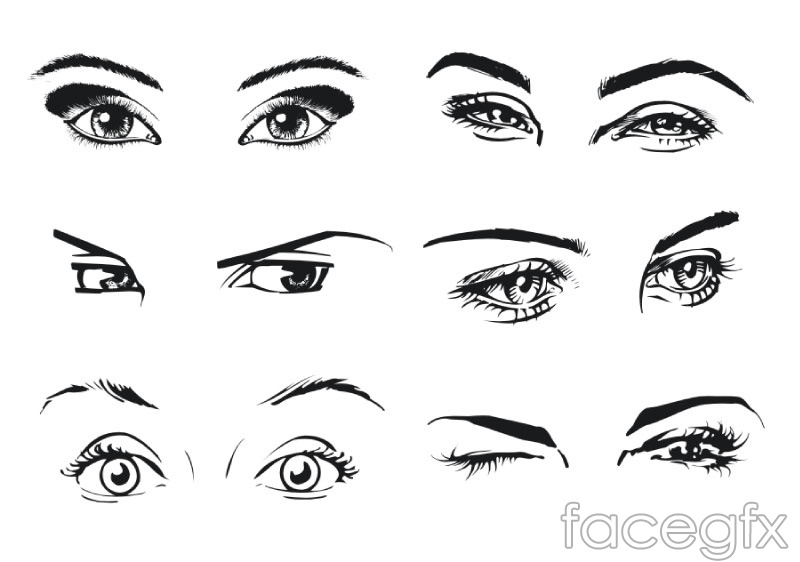 Types Of Female Eye Vector Over Millions Vectors, Stock Photos 800x562 Types Of Female Eye Vector Over Millions Vectors, Stock Photos