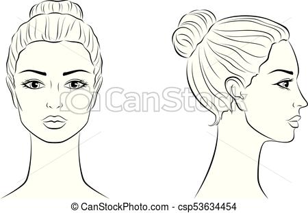 450x311 Female Face Vector Illustration Of Women's Head Front And Side