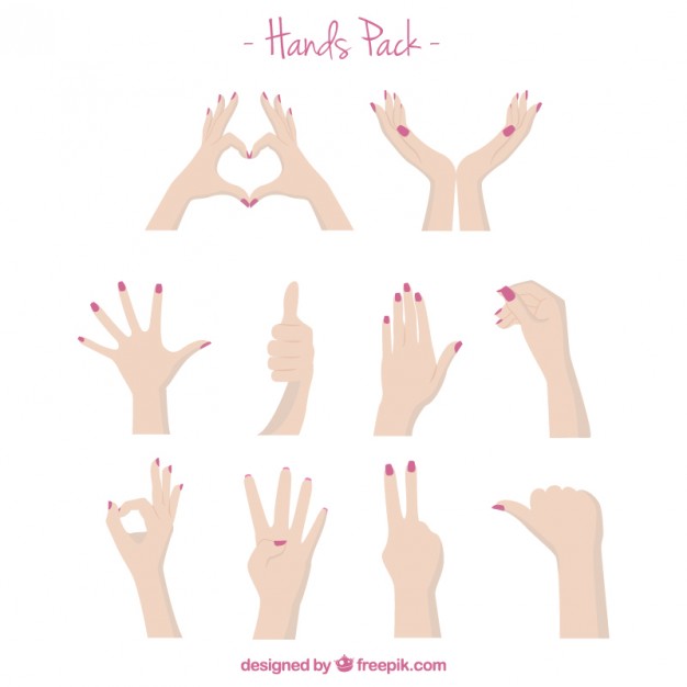 626x626 Female Hands Vector Premium Download
