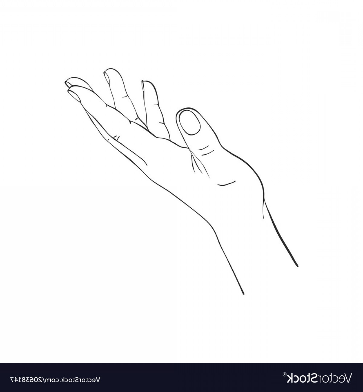 1200x1296 Hand Drawn Woman Hand Vector Soidergi