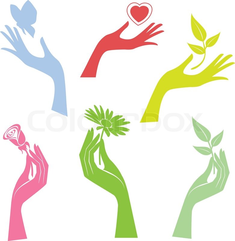 781x800 Illustrated Hand Presenting A Flower Stock Vector Colourbox
