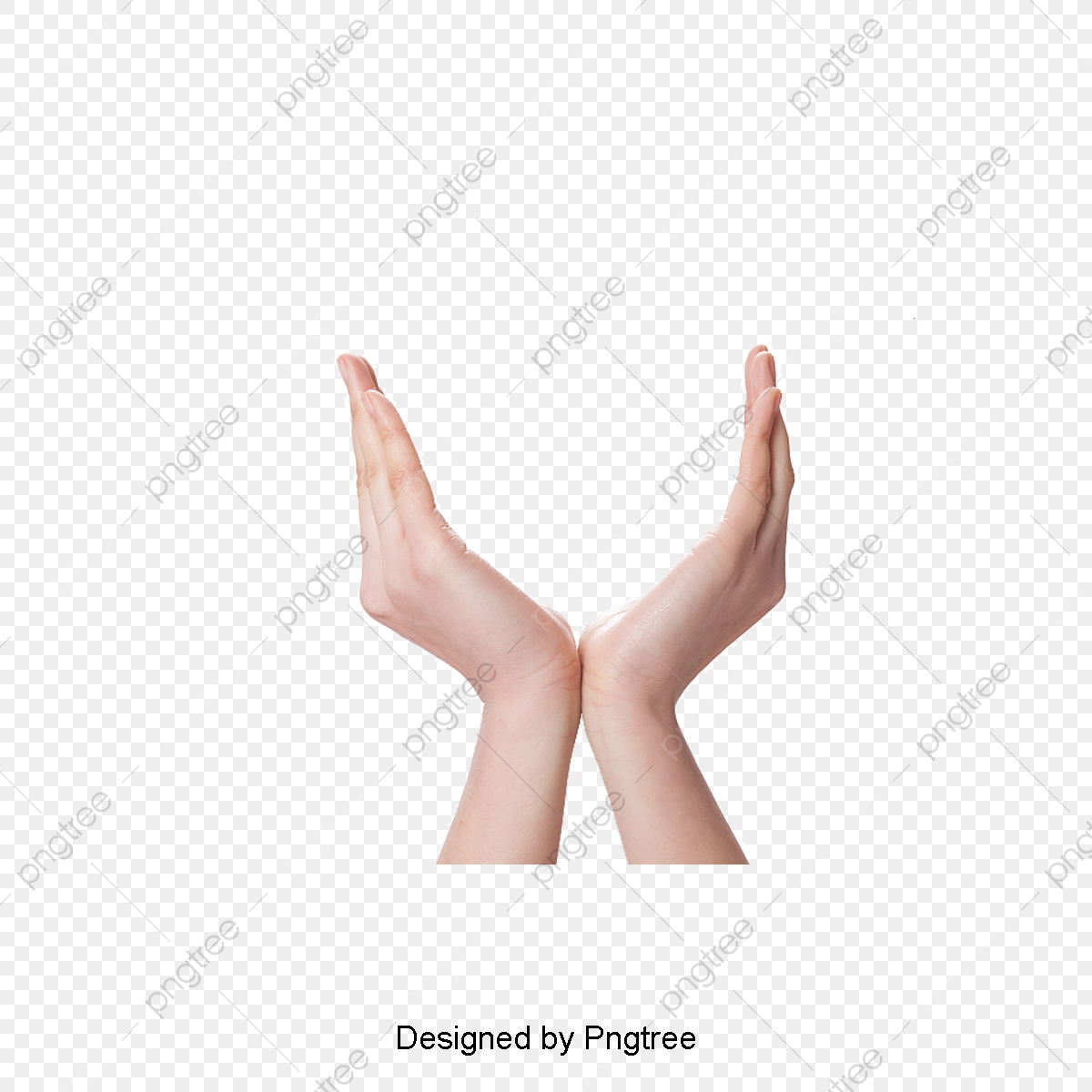 1200x1200 Nail Polish Painted Beautiful Female Hands, Vector, Female, Hands