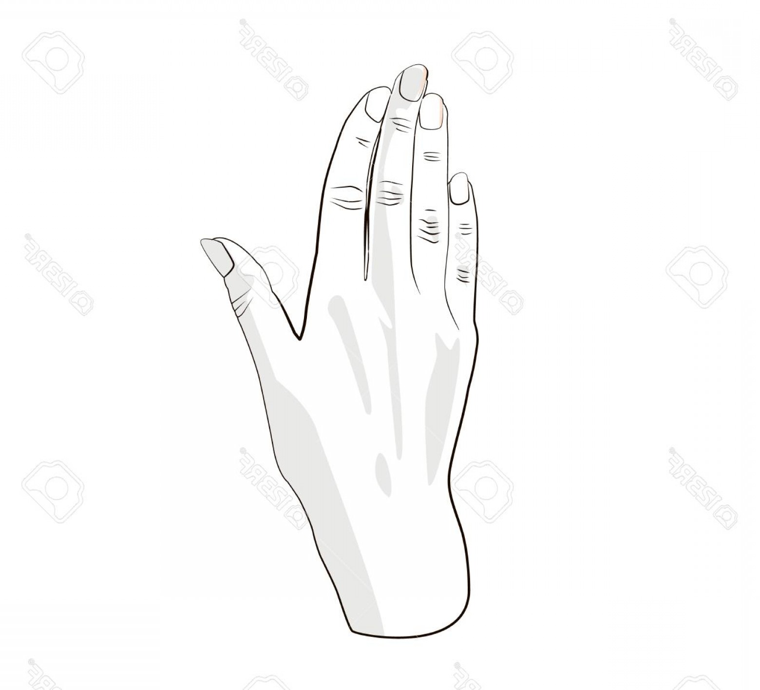 1560x1416 Photostock Vector Woman Hand Back Side Flat Vector Stock