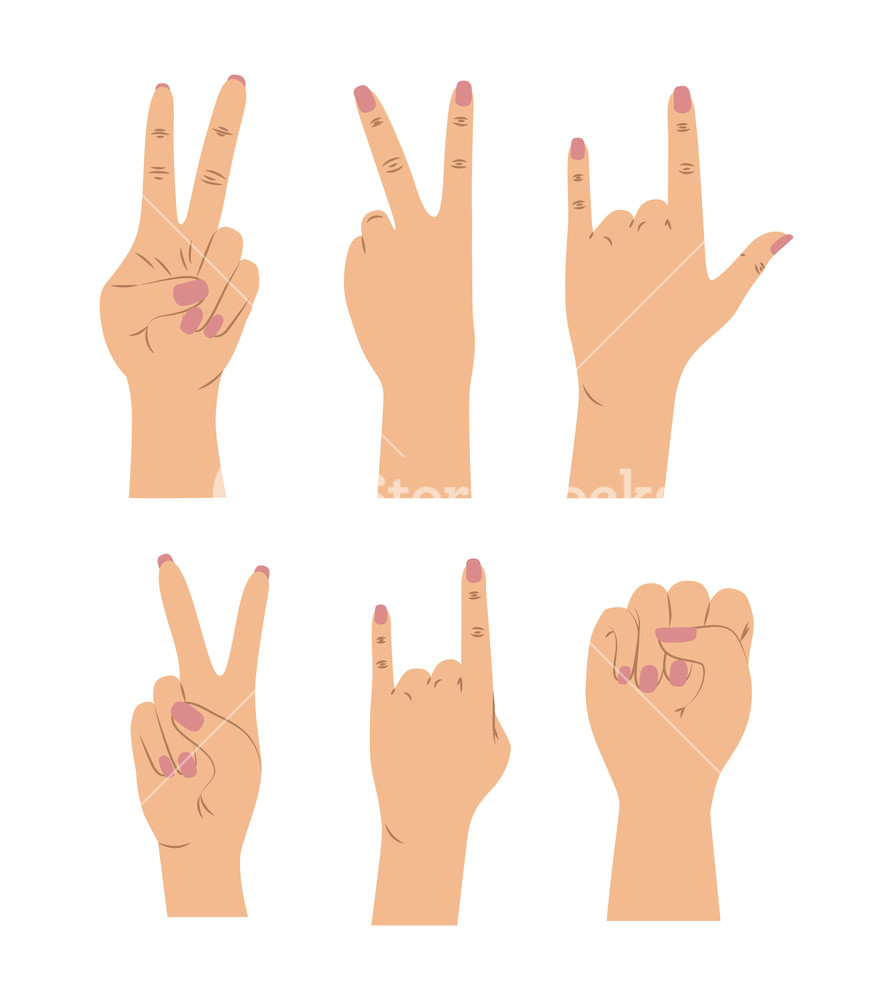 893x1000 Background With Set Of Female Hands Signals In Skin Color Vector
