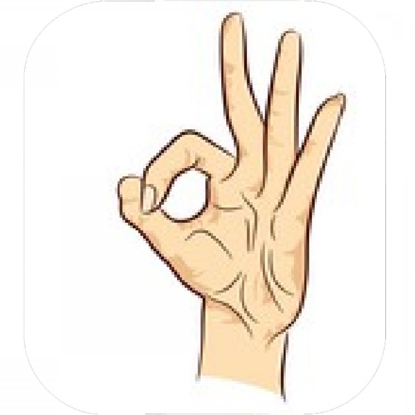 1440x1440 Female Hand Vector Soidergi