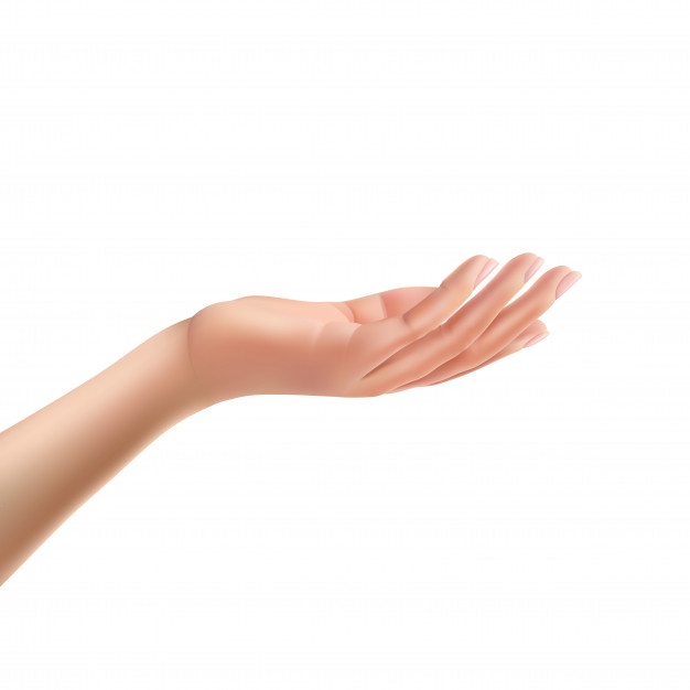 626x626 Female Hands Vectors, Photos And Free Download