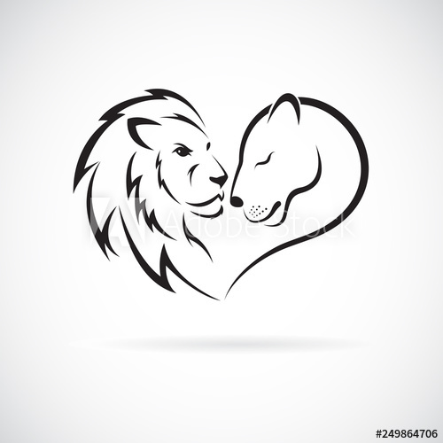 Male Lion And Female Lion Design On White Background Wild Animals 500x500 Male Lion And Female Lion Design On White Background Wild Animals