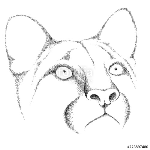 The Vector Logo Female Lion For T Shirt Design Or Outwear Hunting 500x500 The Vector Logo Female Lion For T Shirt Design Or Outwear Hunting