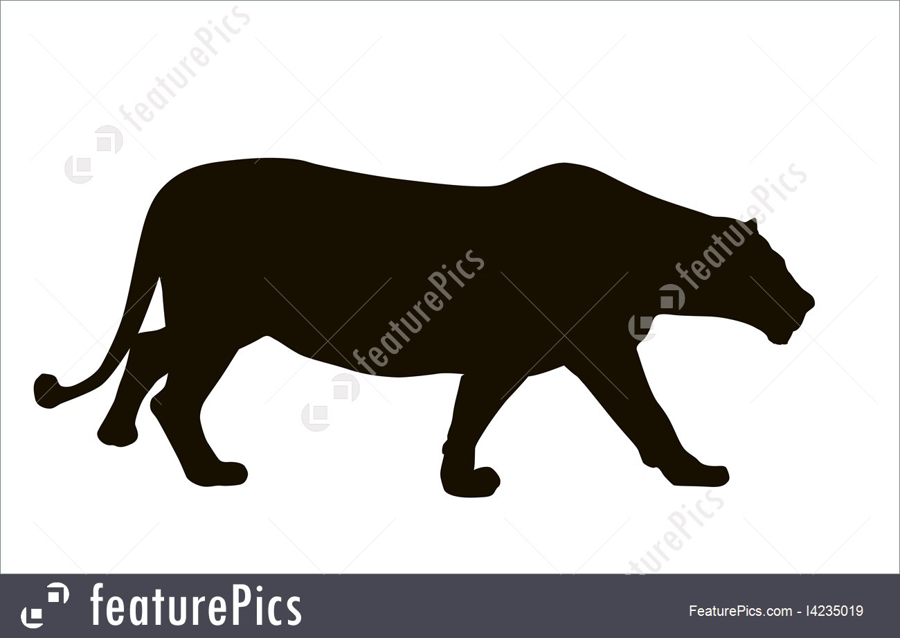 Wildlife Lion Hunt 1300x921 Wildlife Lion Hunt