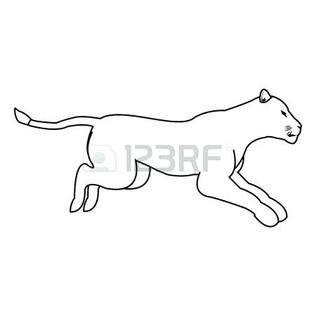 How To Draw A Female Lion Step 450x450 How To Draw A Female Lion Step