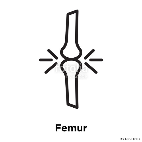 500x500 Femur Icons Isolated On White Background Modern And Editable