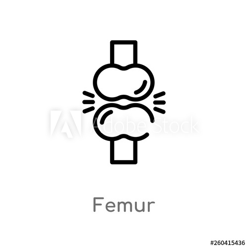 500x500 Outline Femur Vector Icon Isolated Black Simple Line Element