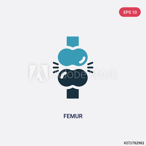 500x500 Two Color Femur Vector Icon From Medical Concept Isolated Blue