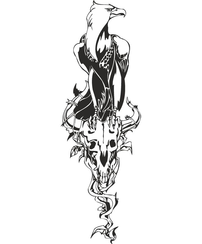 662x800 Fenix Bird Vector Art Graphic Design Vector