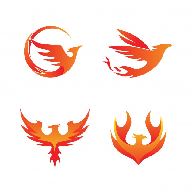 626x626 Phoenix And Fire Background Vector Free Download