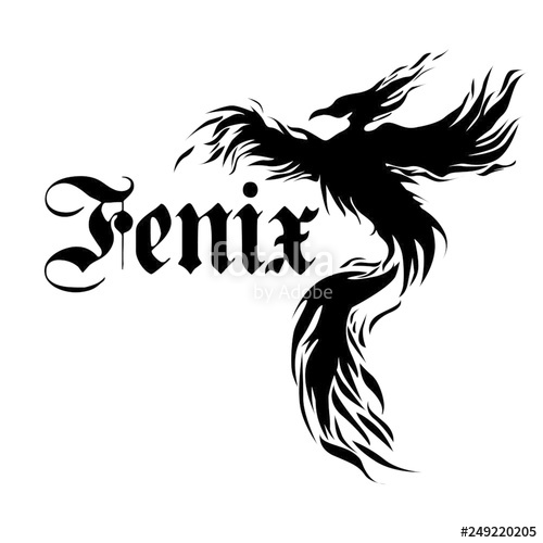 500x500 Fenix Stock Image And Royalty Free Vector