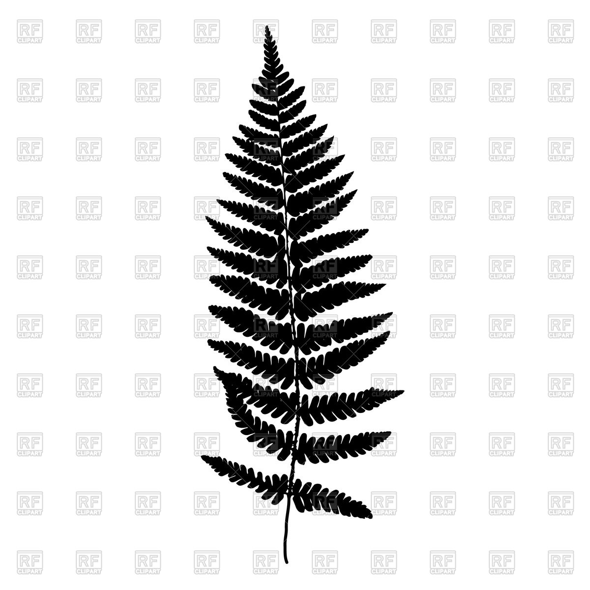 1200x1200 Fern Leaf Vector Image Of Plants And Animals