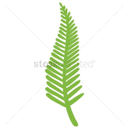 450x450 Free Fern Leaf Stock Vectors Stockunlimited