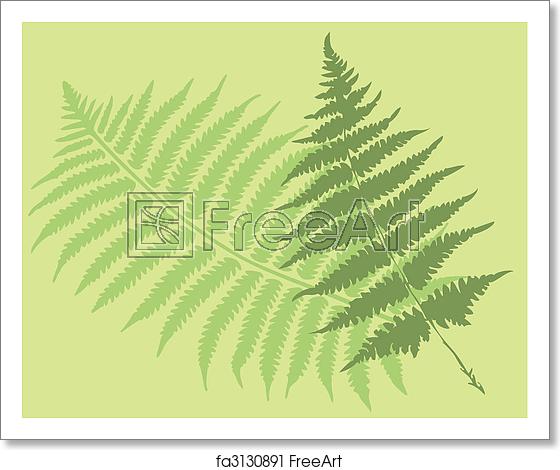 560x470 Free Art Print Of Fern Leaves Fern Leaves, Vector Silhouettes