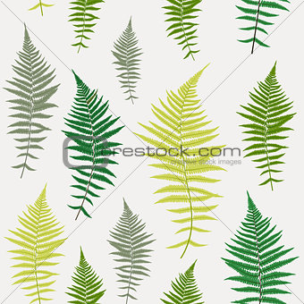 340x340 Image Fern Leaf Vector Fern Leaf Vector Seamless Pattern