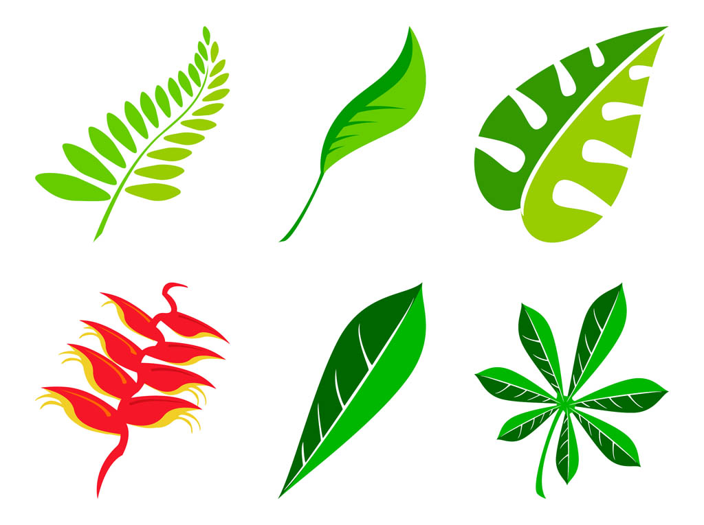 1024x765 Leaves Set Vector Art Graphics