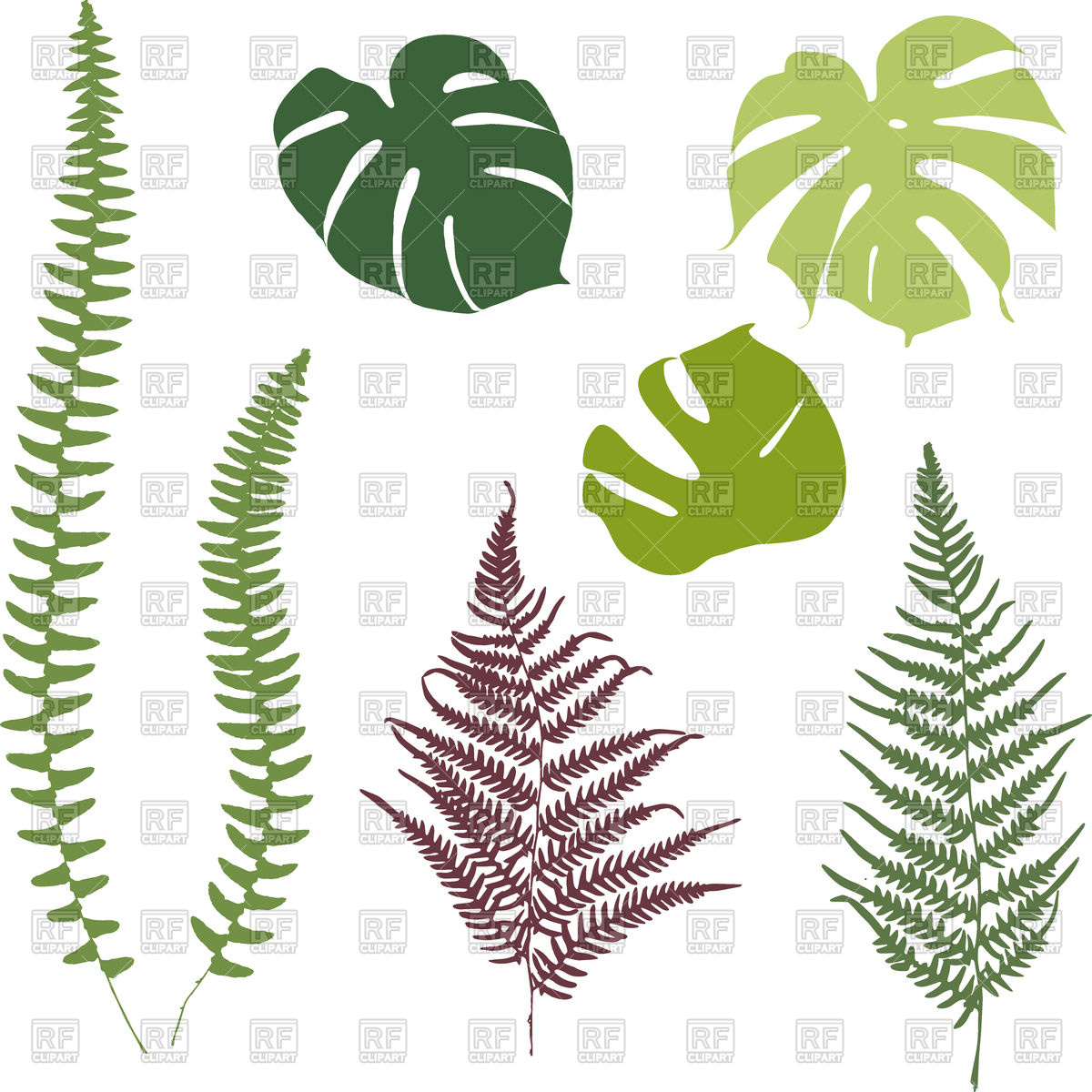 1200x1200 Silhouettes Of Fern And Monsters Leaves Vector Image Of Plants