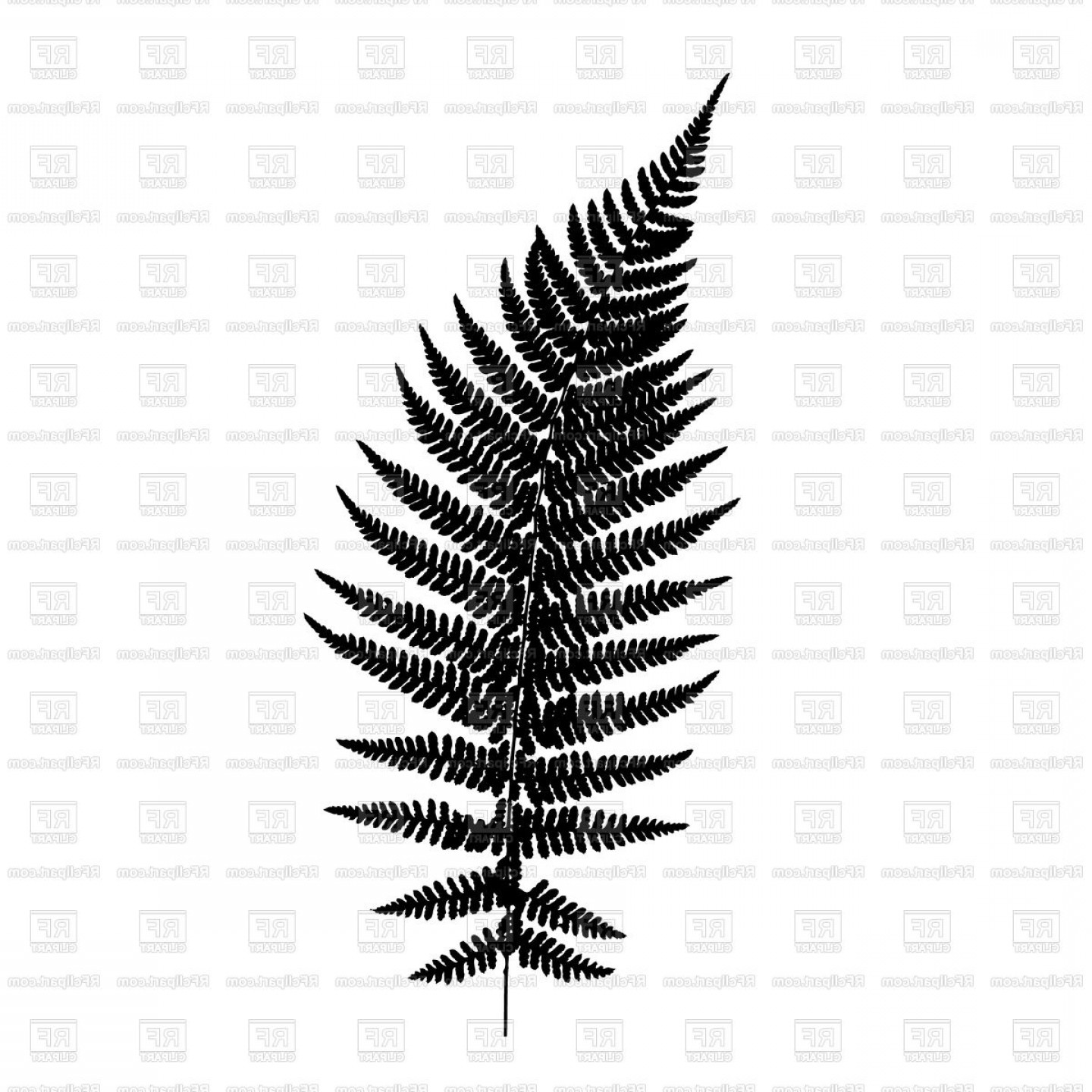 1440x1440 Fern Leaf Silhouette Vector Clipart Soidergi